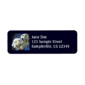 Witte bloesem I Ornamental Pear Tree Etiket (Voorkant)