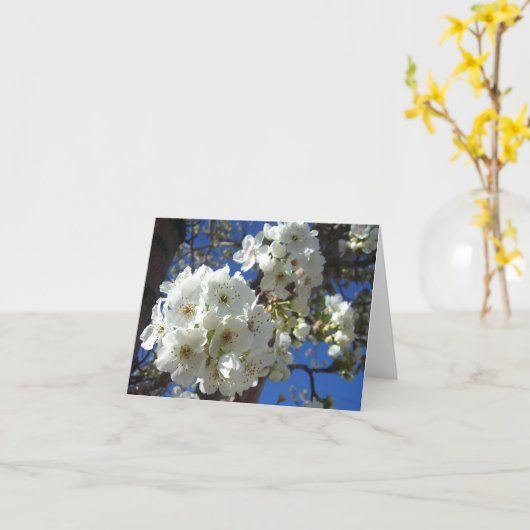 Witte bloesem I Ornamental Pear Tree Kaart (Gele Bloem)
