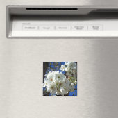 Witte bloesem I Ornamental Pear Tree Magneet (Insitu (Vaatwasser))