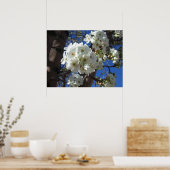 Witte bloesem I Ornamental Pear Tree Poster (Keuken)