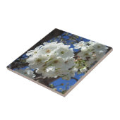 Witte bloesem I Ornamental Pear Tree Tegeltje (Zijkant)