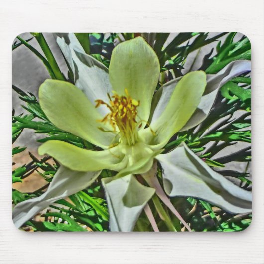 Witte bloesem muismat (Voorkant)