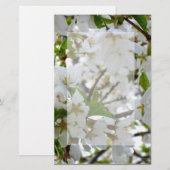 Witte bloesems, bloeiende kersenboom briefpapier (Voorkant / Achterkant)