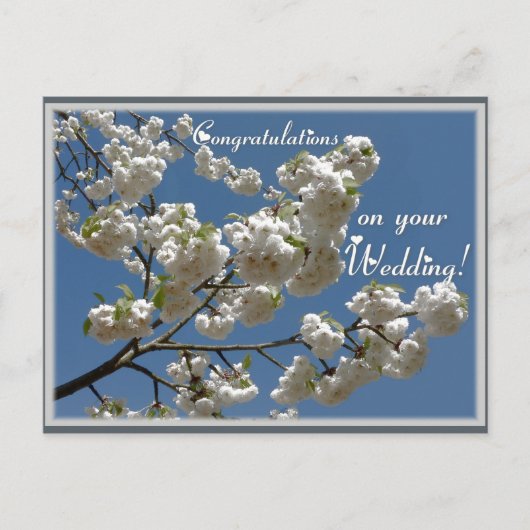 Witte bloesems briefkaart (Voorkant)