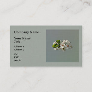 Witte bloesems van de perenboom in bloei visitekaartje