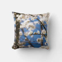 Witte bloesems voor een witte lucht