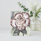 Witte, blozende, rode roos papiervel (Staand voorkant)