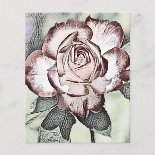 Witte, blozende, rode roos papiervel (Voorkant)