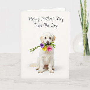 Witte Boeket Hond Kaart