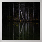 Witte bomen die in het meer reflecteren poster (Voorkant)