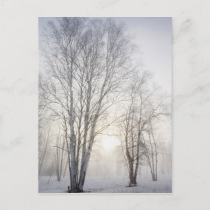 Witte bomen op een sneeuwdag briefkaart