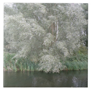Witte boom- en rivierlandschapstegel tegeltje