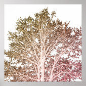 Witte boom poster (Voorkant)