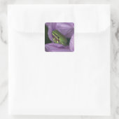 Witte boomkikker vierkante sticker (Tas)