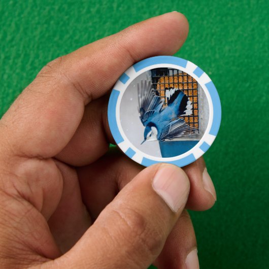 Witte-borst Nuthatch in Sneeuw Poker Chips (Hand)