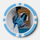 Witte-borst Nuthatch in Sneeuw Poker Chips (Voorkant)