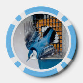 Witte-borst Nuthatch in Sneeuw Poker Chips (Achterkant)