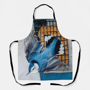 Witte-borst Nuthatch in Sneeuw Schort