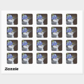 Witte borst nuthatch met lupine stickers (Vel)