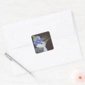 Witte borst nuthatch met lupine stickers (Envelop)