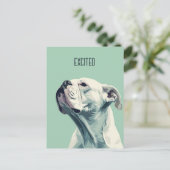 Witte boxer briefkaart (Staand voorkant)