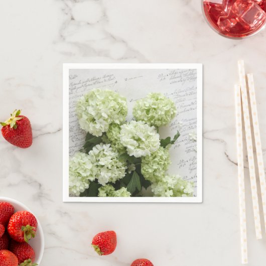 Witte brandkranen met script servetten (Insitu)