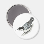 Witte Breasted Nuthatch Magnet Magneet (Voorkant / Achterkant)