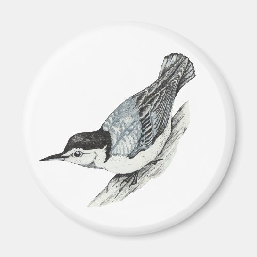 Witte Breasted Nuthatch Magnet Magneet (Voorkant)