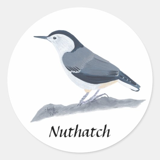 Witte Breasted Nuthatch Vogelschilderij Stickers (Voorkant)