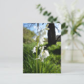 Witte Briefkaart (Staand voorkant)