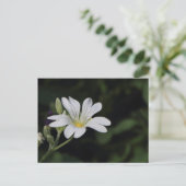 Witte Briefkaart (Staand voorkant)