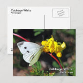 Witte Briefkaart voor kool (Voorkant / Achterkant)