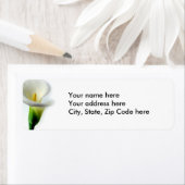 Witte Calla 1 Etiket (Insitu)