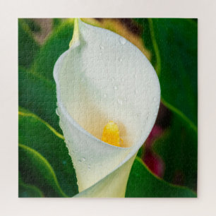 Witte Calla-lelie Macro Botanische Foto Natuur Kun Legpuzzel