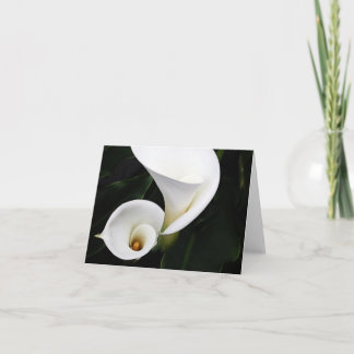 Witte calla Lillies Kaart