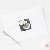 Witte Calla Lily Bloemen Vierkante Sticker (Envelop)