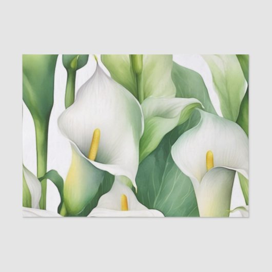 Witte Calla Lily Natuur Tissuepapier (Voorkant)