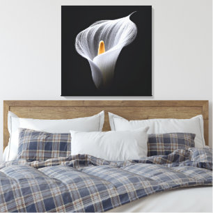 Witte Calla Lily op zwart Canvas Afdruk