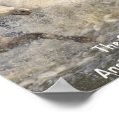 Witte camargue-paarden in het Poster Water (Hoek)