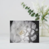 Witte Camelia Briefkaart (Staand voorkant)