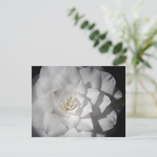 Witte Camelia Briefkaart (Staand voorkant)