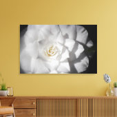 Witte Camelia Canvas Afdruk (Insitu (Woonkamer))