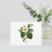 Witte Camelia door Pierre Joseph Redoute Briefkaart (Staand voorkant)