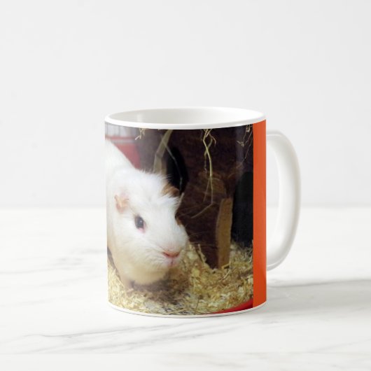 witte cavia ' s mok (Voorkant rechts)