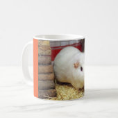 witte cavia ' s mok (Voorkant links)