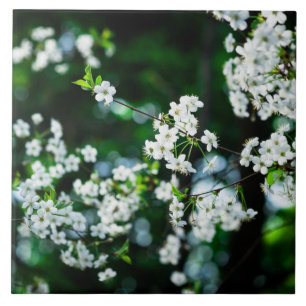 Witte Cherry Blossom Green Leaves Tegeltje