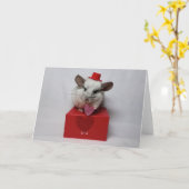 Witte chinchilla met pet en hart kaart (Gele Bloem)