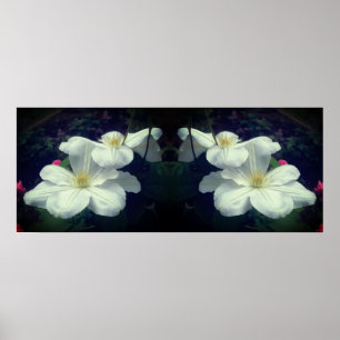 Witte Clematis Flowers Spiegel Abstract Poster