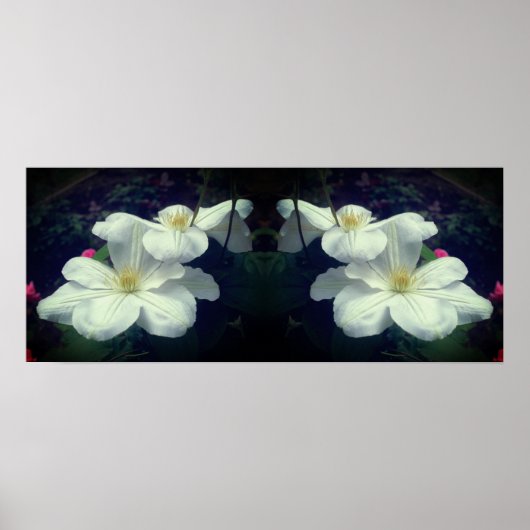 Witte Clematis Flowers Spiegel Abstract Poster (Voorkant)