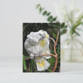 Witte cockatiel briefkaart (Staand voorkant)
